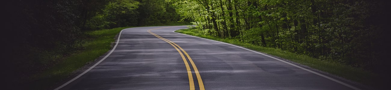 Picture of a paved road surrounded by green vegetation on both sides.