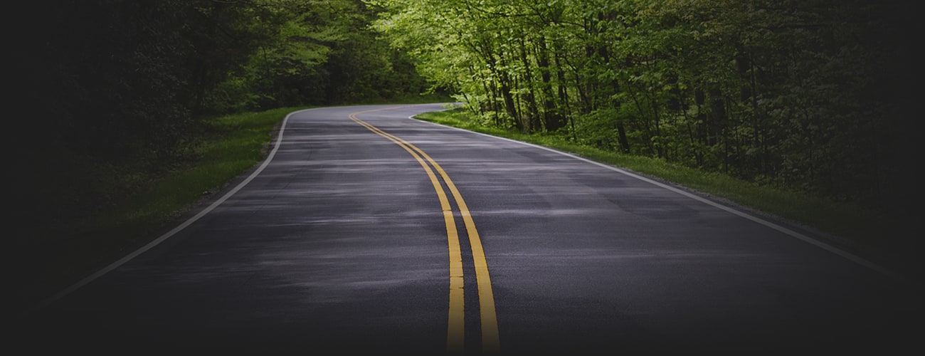 Picture of a paved road surrounded by green vegetation on both sides.